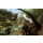 Ubisoft Far Cry 2 Essentials - 1398495 - zdjęcie 3